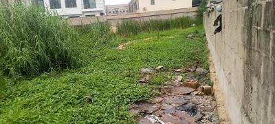 Land, Freedom Way, Lekki Phase 1, Lekki, Lagos, Land Joint Venture