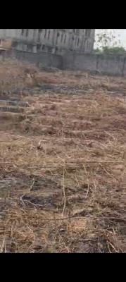 a Flat and Well Located, Fenced and Gated Land with Borehole, Close to The Expressway, Kaura, Abuja, Residential Land for Sale