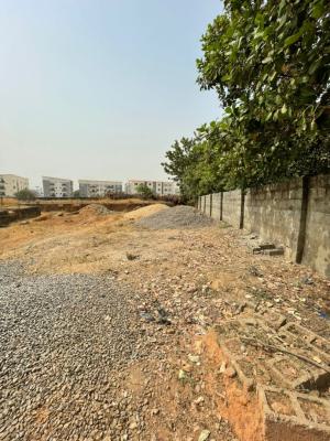 1300sqm with Building Approval, Cad Zone, Jabi, Abuja, Residential Land for Sale