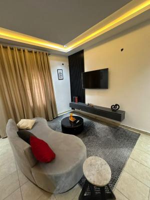 Fully Furnished 1 Bedroom Miniflat Apartment, Lekki Phase 1, Lekki, Lagos, Mini Flat (room and Parlour) for Rent