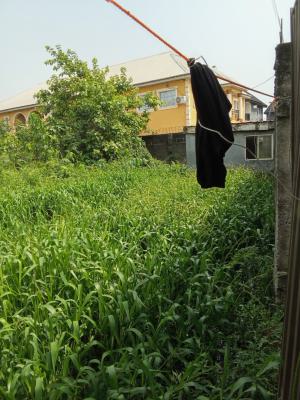 Plot of Fenced and Gated Land, Royal Palmwill Estate, Badore, Ajah, Lagos, Residential Land for Sale