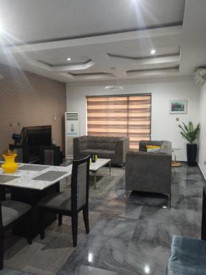 Standard 2 Bedroom Flat, By Nike Arts Gallery, Ikate Elegushi, Lekki, Lagos, Flat / Apartment for Rent