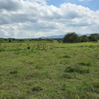 a Residentia Land Occupying 2.20ha, (medium Density Development) Close to The Expressway., Lekki Expressway, Lekki, Lagos, Residential Land for Sale