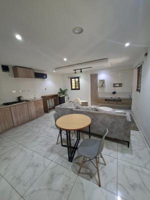 Fully Service Furnished & Unfurnish One Bedroom Aparrment, Lekki Phase 1 Right Hand Side, Lekki, Lagos, Mini Flat (room and Parlour) for Rent