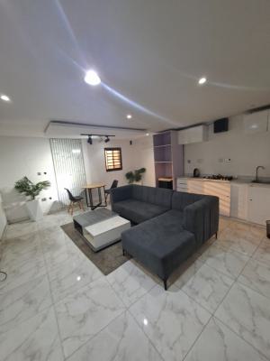 Direct Fully Service & Furnished One Bedroom Flat, Lekki Phase 1 Right Hand Side, Lekki Phase 1, Lekki, Lagos, Mini Flat (room and Parlour) for Rent