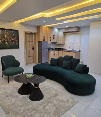 Appealing 2 Bedrooms Flat — Isolo, Lagos