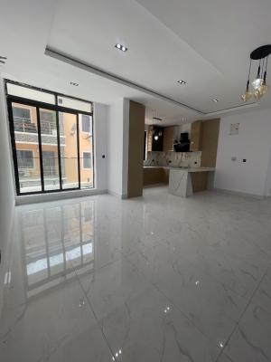 Cozy 2 Bedroom Apartment, Lekki Phase 1, Lekki, Lagos, Flat / Apartment for Sale