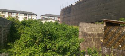 Joint Venture Ikate, Ikate Elegush, Ikate Elegushi, Lekki, Lagos, Land Joint Venture