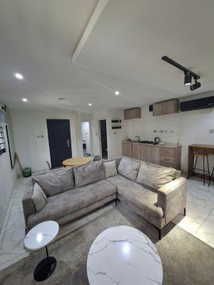 Fully Serviced Furnished and Unfinished One Bedroom Apartment, Lekki Right, Lekki Phase 1, Lekki, Lagos, Mini Flat (room and Parlour) for Rent