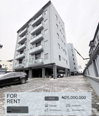 Beautiful Luxury Serviced 2 Apartment, Old Ikoyi, Ikoyi, Lagos, House for Rent