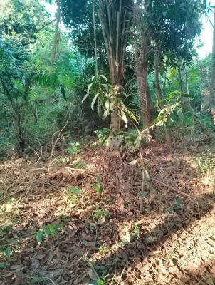 1850sqms of Bareland, Ikeja Gra, Ikeja, Lagos, Mixed-use Land for Sale