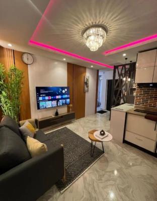 Fully Furnished 1-bedroom Apartment, Anthony, Maryland, Lagos, Self Contain (single Rooms) for Rent