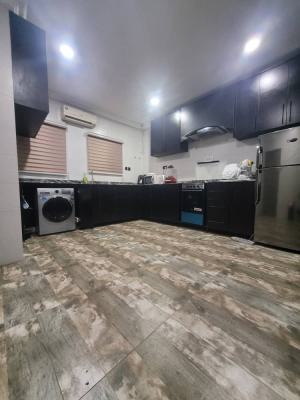 Standard 3 Bedrooms Terraced Duplex with a Bq Tarred Road, Jabi, Abuja, Terraced Duplex for Rent