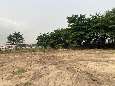 300sqm of Land with C of O in a Prime Location, Victoria Garth Castle Plot Located at Vgc Main, Lekki, Lagos, Nigeria, Vgc, Lekki, Lagos, Residential Land for Sale