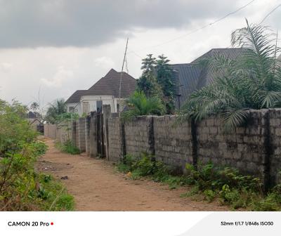 Two Plots of Land Together, Avu Close to Pearlview International Schools, Owerri Municipal, Imo, Mixed-use Land for Sale