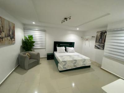 Luxury Apartment in a Serene Environment, Wuse 2, Wuse 2, Abuja, Flat / Apartment Short Let