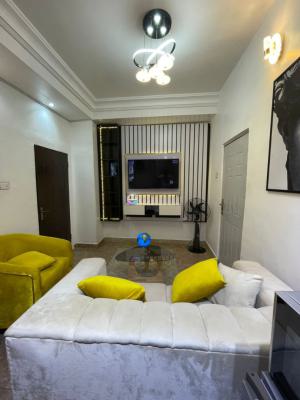 Nicely Furnished 1 Bedroom Apartment, Lekki, Lagos, Flat / Apartment Short Let