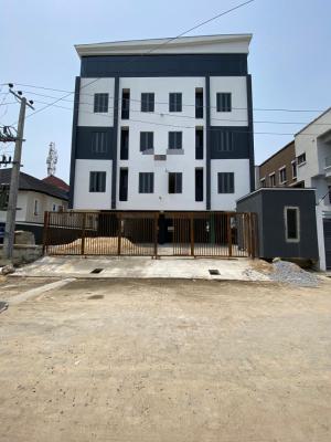 an Exquisite 2 Bedroom Apartment with Swimming Pool (unfurnished), Ikate, Lekki, Lagos, Flat / Apartment for Sale