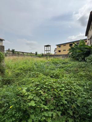 500sqm Fenced Land, Ajao Estate, Anthony, Maryland, Lagos, Mixed-use Land for Sale