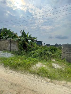 1 and The Half Plot of Land, Sars Road, Rukpokwu, Port Harcourt, Rivers, Residential Land for Sale