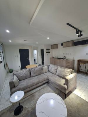 Fully Serviced Furnished and Unfurnished 1 Bedroom Apartment at Lekki., Lekki, Lekki Phase 1, Lekki, Lagos, Mini Flat (room and Parlour) for Rent