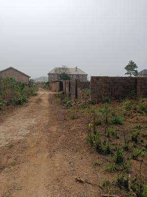 Buy and Develop in Choice Location — Enugu, Enugu