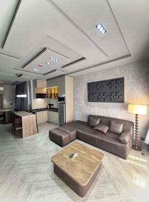 One Bedroom Apartment, Asokoro District, Abuja, Mini Flat (room and Parlour) Short Let