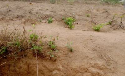 Joint Venture, Jide Oki Street, Victoria Island (vi), Lagos, Residential Land Joint Venture