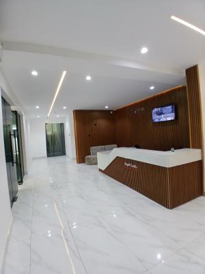 Tastefully Finished and Newly Built and Serviced with 24/7 Power Suppl, Lekki Phase 1, Lekki, Lagos, Flat / Apartment for Sale