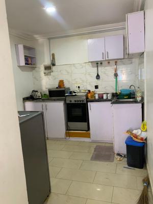 Spacious and Neat Miniflat, Osapa, Lekki, Lagos, Mini Flat (room and Parlour) for Rent