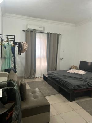 Master Bedroom Shared Apartment, Cadogan Estate, Osapa, Lekki, Lagos, Self Contain (single Rooms) for Rent