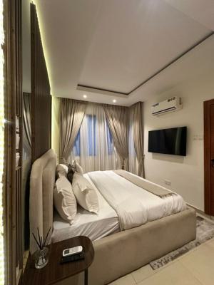 Furnished 2 Bedroom Apartment in Vi, Off Ajose Adeogun, Victoria Island (vi), Lagos, Flat / Apartment for Rent