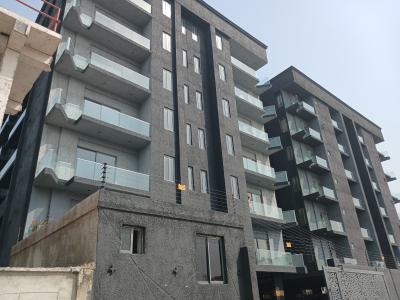 Newly Built and Serviced with 24/7 Power Supply 2 Bedroom En-suite Fla, Ikate Elegushi, Lekki, Lagos, Flat / Apartment for Rent