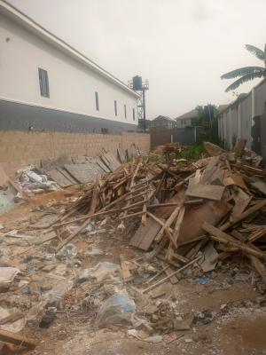 Sweet Half Plot of Land (330sqm) in an Estate, in an Estate Environment Off Ayo Alabi Str, Oke Ira Ogba, Ogba, Ikeja, Lagos, Residential Land for Sale