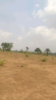 Prime Investment Opportunity: 100-hectare Development Land in Maitama, Maitama 2, Maitama District, Abuja, Mixed-use Land for Sale