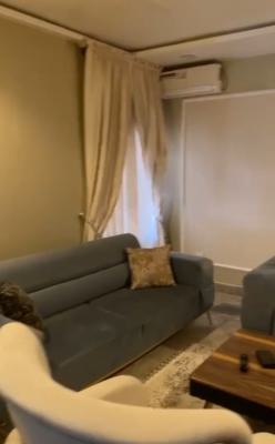 Furnished 4 Bedroom Terrace Duplex with Bq in Wuye, Wuye, Abuja, Terraced Duplex for Sale