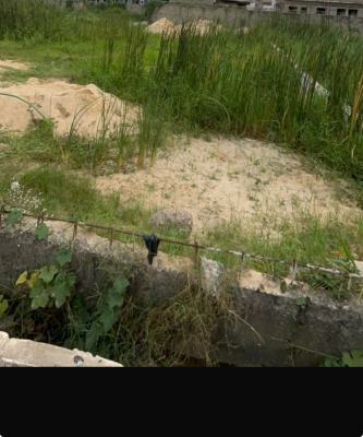 Bare Land, Adeniyi Jones, Ikeja, Lagos, Mixed-use Land for Sale