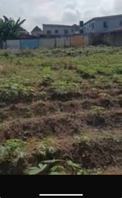 a Virgin Vacant Plot of Land, Pipeline, Egbeda, Alimosho, Lagos, Mixed-use Land for Sale