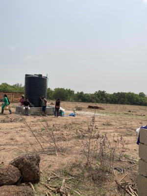 Cocoa and Plantain Farm Fully Managed, Abeokuta Around Crescent University, Odeda, Ogun, Land for Sale