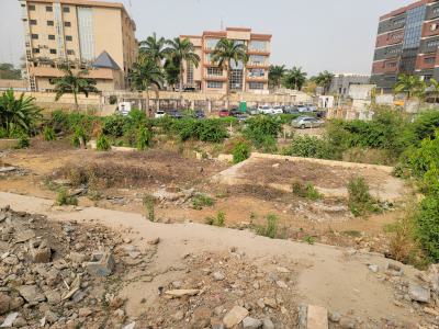 7,300 Sqm Commercial Land, Garki, Abuja, Commercial Land for Sale