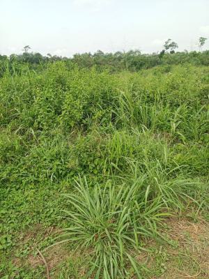 Full Plot of Land in a Serene Environment, Ijere Road Close to Wise Buyer Supermarket, Asese, Ibafo, Ogun, Mixed-use Land for Sale