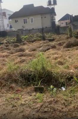 Prime Land Measuring 2 Plots, Oshorun Heritage Estate, Opic, Isheri North, Lagos, Residential Land for Sale