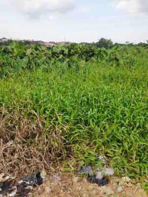 Bareland, Oke Ira, Ogba, Ikeja, Lagos, Mixed-use Land for Sale