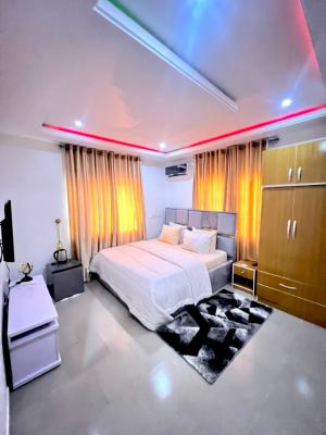 Nicely Furnished Studio Apartment, Gwarinpa, Abuja, Flat / Apartment Short Let