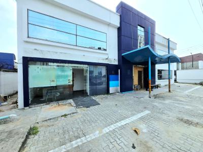 Commercial Detached House, Falomo, Ikoyi, Lagos, Office Space for Rent