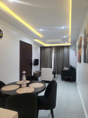 Luxury Furnished 2 Bedroom Apartment with Pool Available, Oniru, Victoria Island (vi), Lagos, Flat / Apartment for Rent