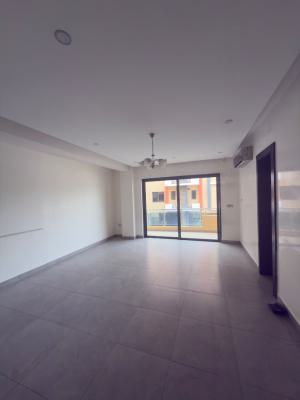 Luxury 4bedroom Apartment with Swimming Pool and Bq, Maitama, Maitama District, Abuja, Flat / Apartment for Rent