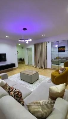 Clean Fully Furnished 2bedroom Flat with Gen, Off Amino Kano, Wuse 2, Abuja, Flat / Apartment for Rent