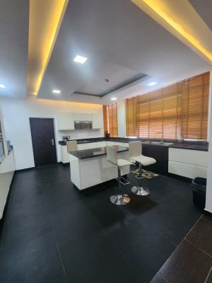 Luxury Furnished 4 Bedroom Maisonette, Banana Island, Ikoyi, Lagos, Terraced Duplex for Rent