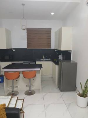 Fully Furnished and Serviced Mini Flat Terrace  for Every 3 Months, Off Admiralty Way, Lekki Phase 1, Lekki, Lagos, Mini Flat (room and Parlour) for Rent